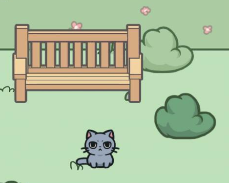 天天躲猫猫3第5关通关攻略