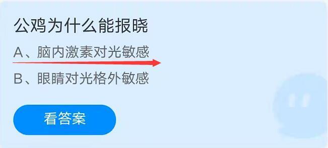 公鸡为什么能报晓