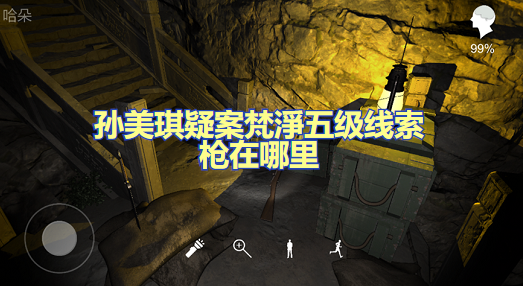 孙美琪疑案梵淨五级线索枪在哪里