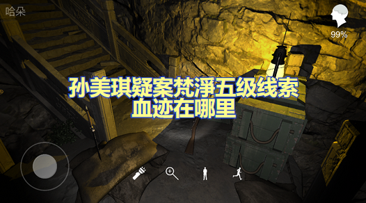 孙美琪疑案梵淨五级线索血迹在哪里