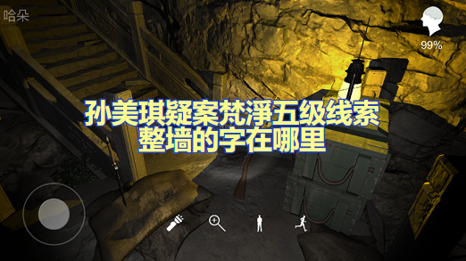 孙美琪疑案梵淨五级线索整墙的字在哪里
