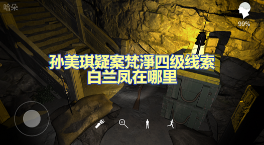 孙美琪疑案梵淨四级线索白兰凤在哪里