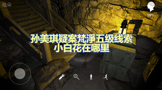 孙美琪疑案梵淨五级线索小白花在哪里