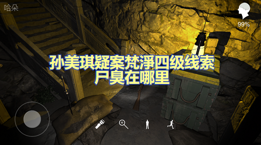 孙美琪疑案梵淨四级线索尸臭在哪里