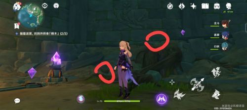 原神鹤观岛迷雾栖木在哪？鹤观岛迷雾栖木解密攻略[多图]图片3