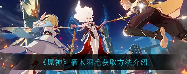 原神栖木羽毛获取方法一览