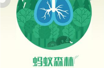 支付宝蚂蚁森林云守喵活动在哪里参与
