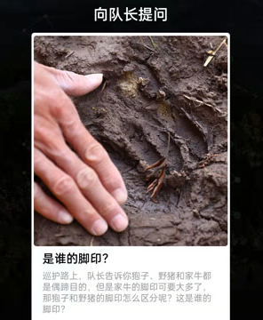是谁的脚印