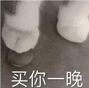 买你一晚表情包猫咪一百块钱不够再加图片大全