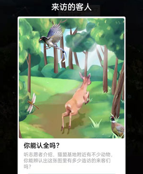 来访的客人
