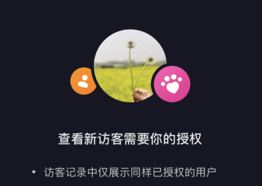 抖音新访客是什么意思？