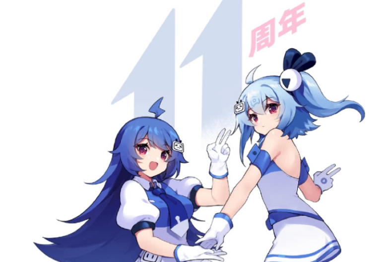 哔哩哔哩版权保护白名单如何添加