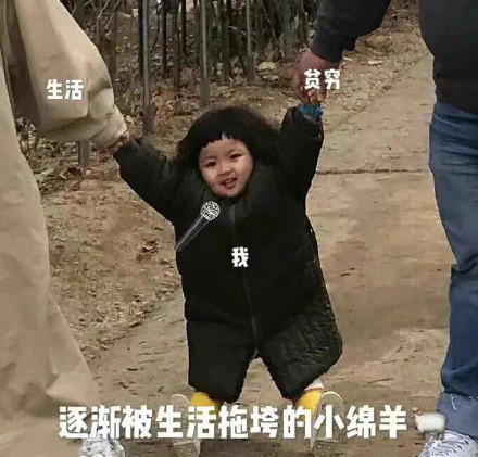 尾款人表情包汇总分享