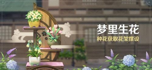 原神梦里生花活动怎么玩