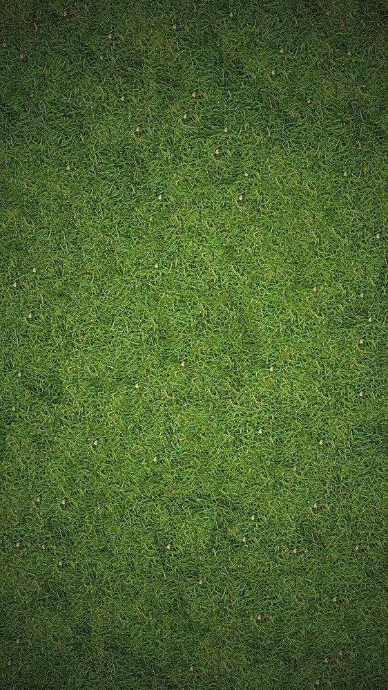 抖音养鸡表情包动图怎么弄？抖音养鸡表情包动图背景图大全[多图]图片4