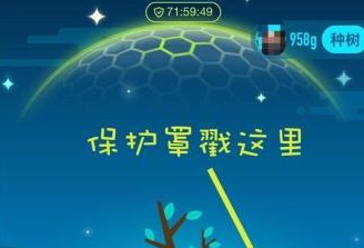 蚂蚁森林滚滚保护罩在哪里领取？