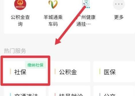 农村合作医疗网上缴费微信怎么交2021？2021农村合作医疗网上缴费教程[多图]图片5