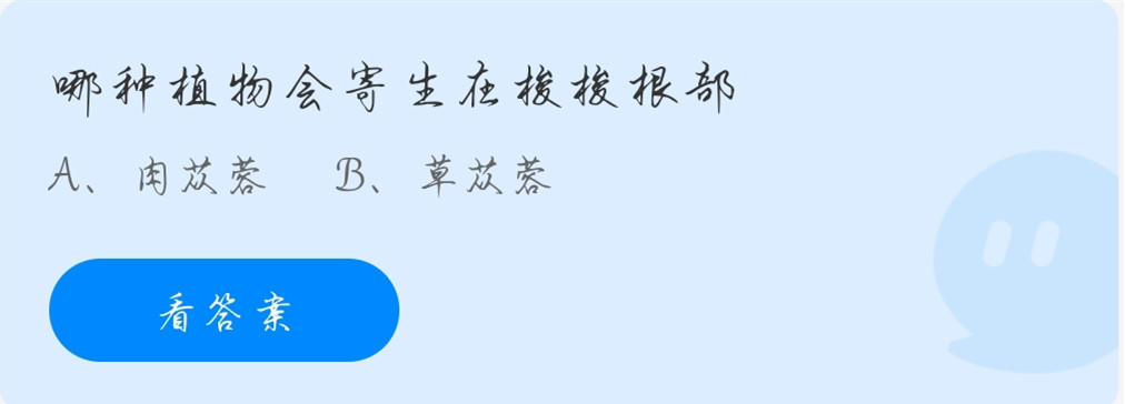 哪种植物会寄生在梭梭根部?蚂蚁庄园11.23今日正确答案