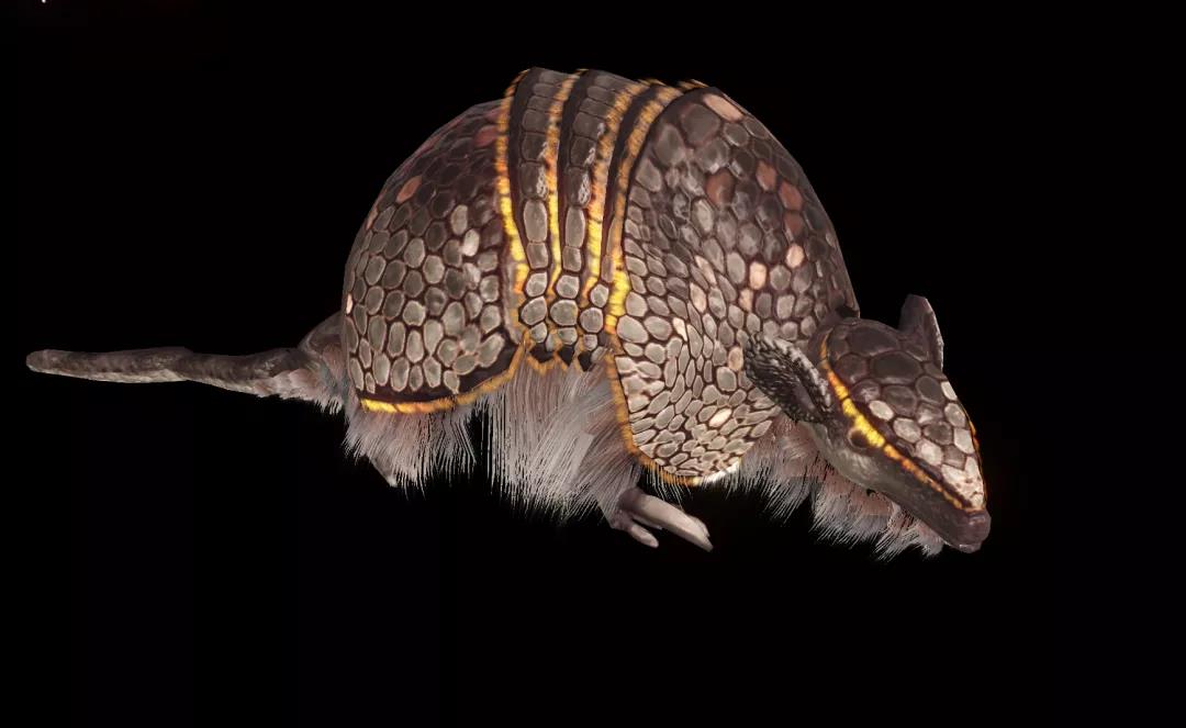 妄想山海万年嘉犰狳在什么地方？