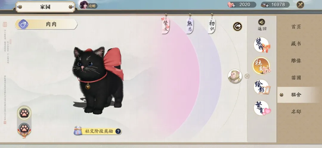 天涯明月刀手游猫咪社交玩法攻略