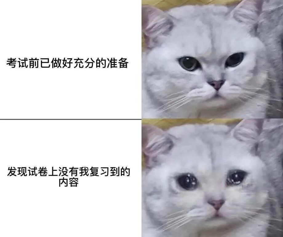 考研必过表情包 考研必胜的图片加油 考研人表情包