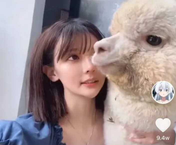 铁岭县刘辉商店是什么梗什么意思？