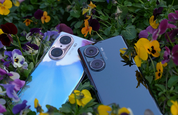 1638428780421335.png image.png