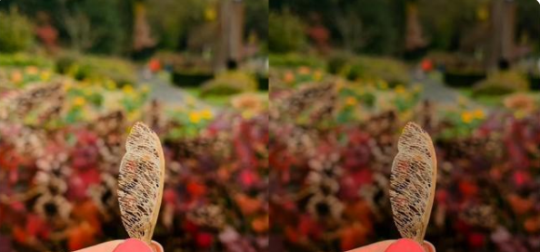 1638513941693556.png image.png