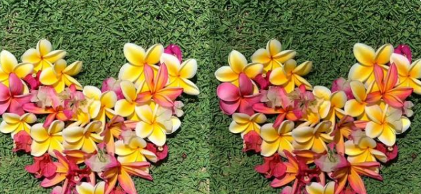 1638513954823726.png image.png