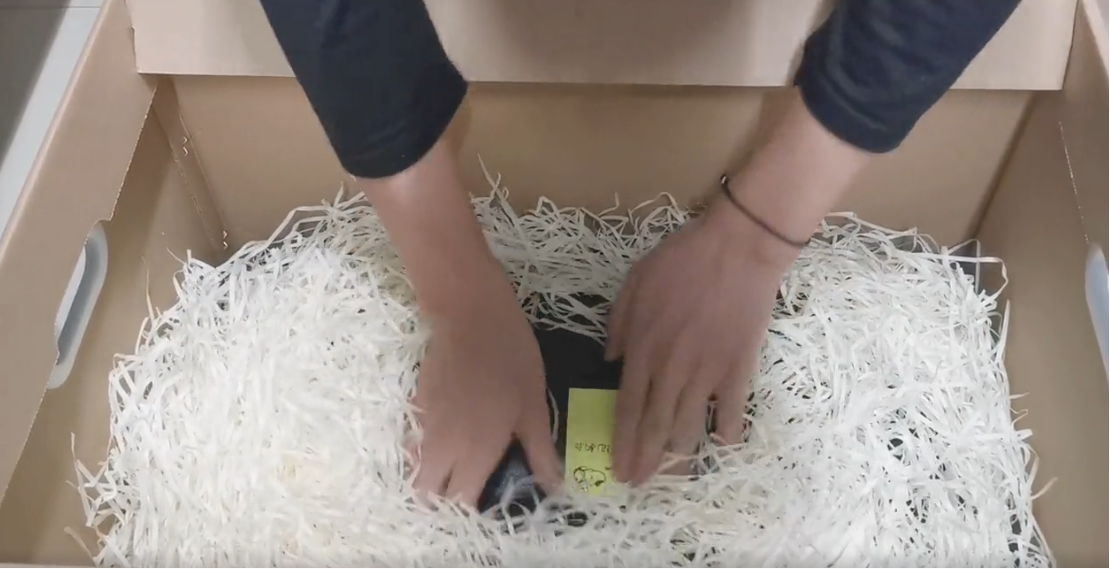 拉菲草是什么意思