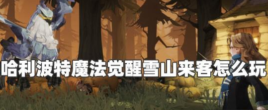 哈利波特魔法觉醒雪山来客线索怎么获得