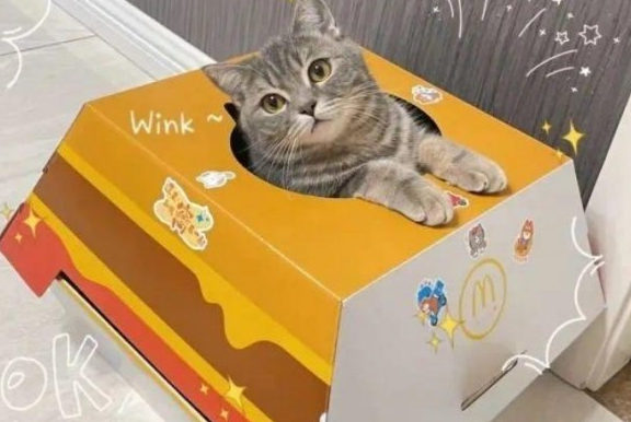 1638861959737441.png image.png