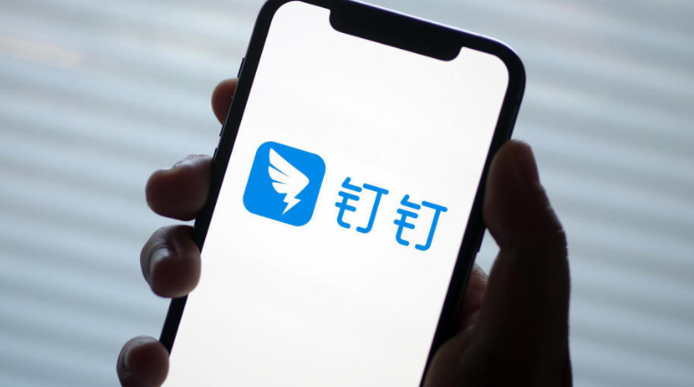 钉钉怎么自定义工作习惯