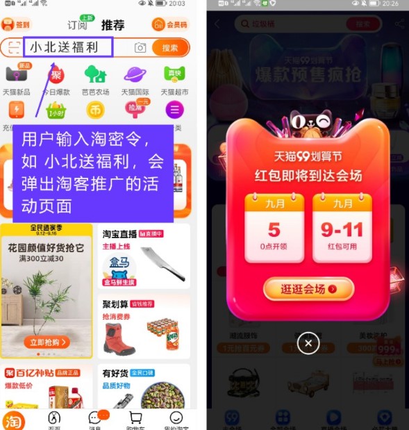 2021淘宝双十二淘密令怎么参加