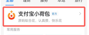 支付宝小荷包怎么看明细