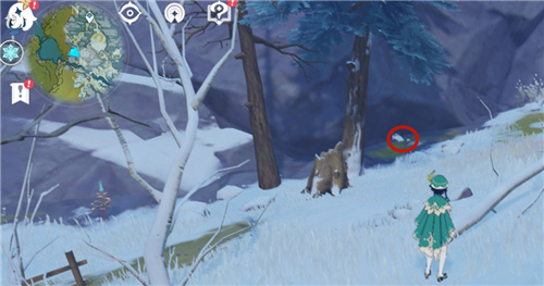 原神雪狐在哪里？雪山雪狐位置攻略[多图]图片5