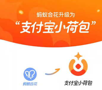 支付宝小荷包可以开几个