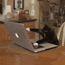 3d129641279d480285bf4c8135739eab.gif