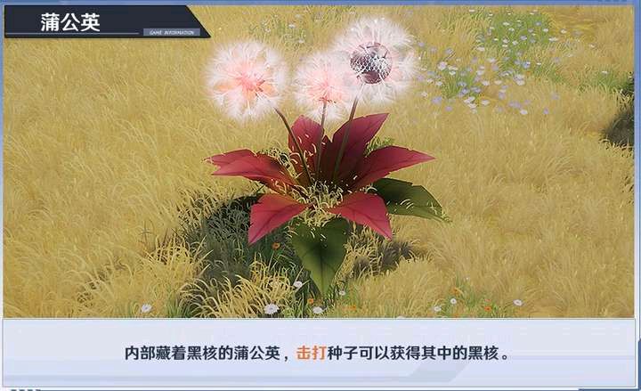 幻塔大世界黑核机关解谜攻略：大世界黑核机关解密流程[多图]图片2