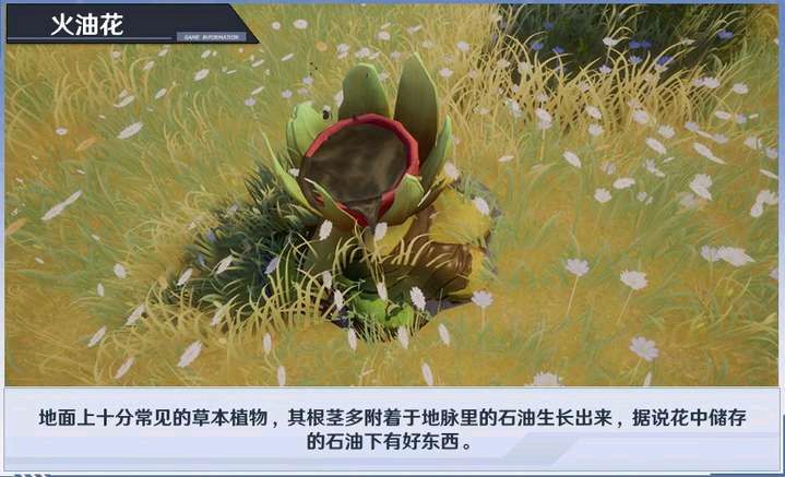 幻塔大世界黑核机关解谜攻略：大世界黑核机关解密流程[多图]图片3