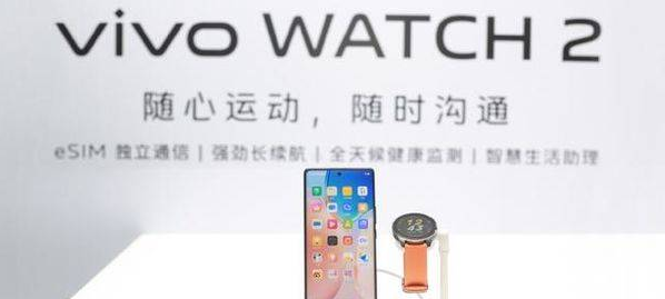 vivowatch2能微信吗