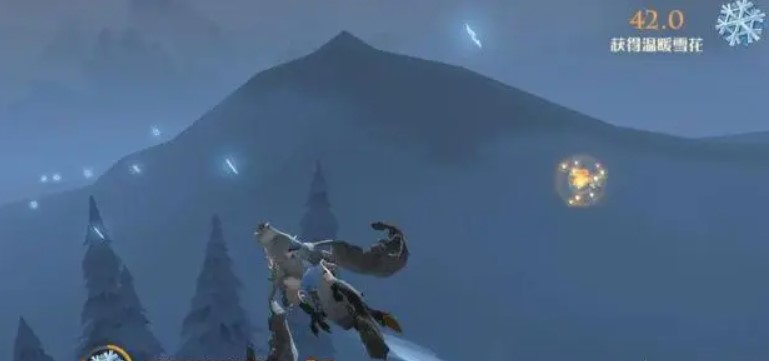 不同的雪花收集