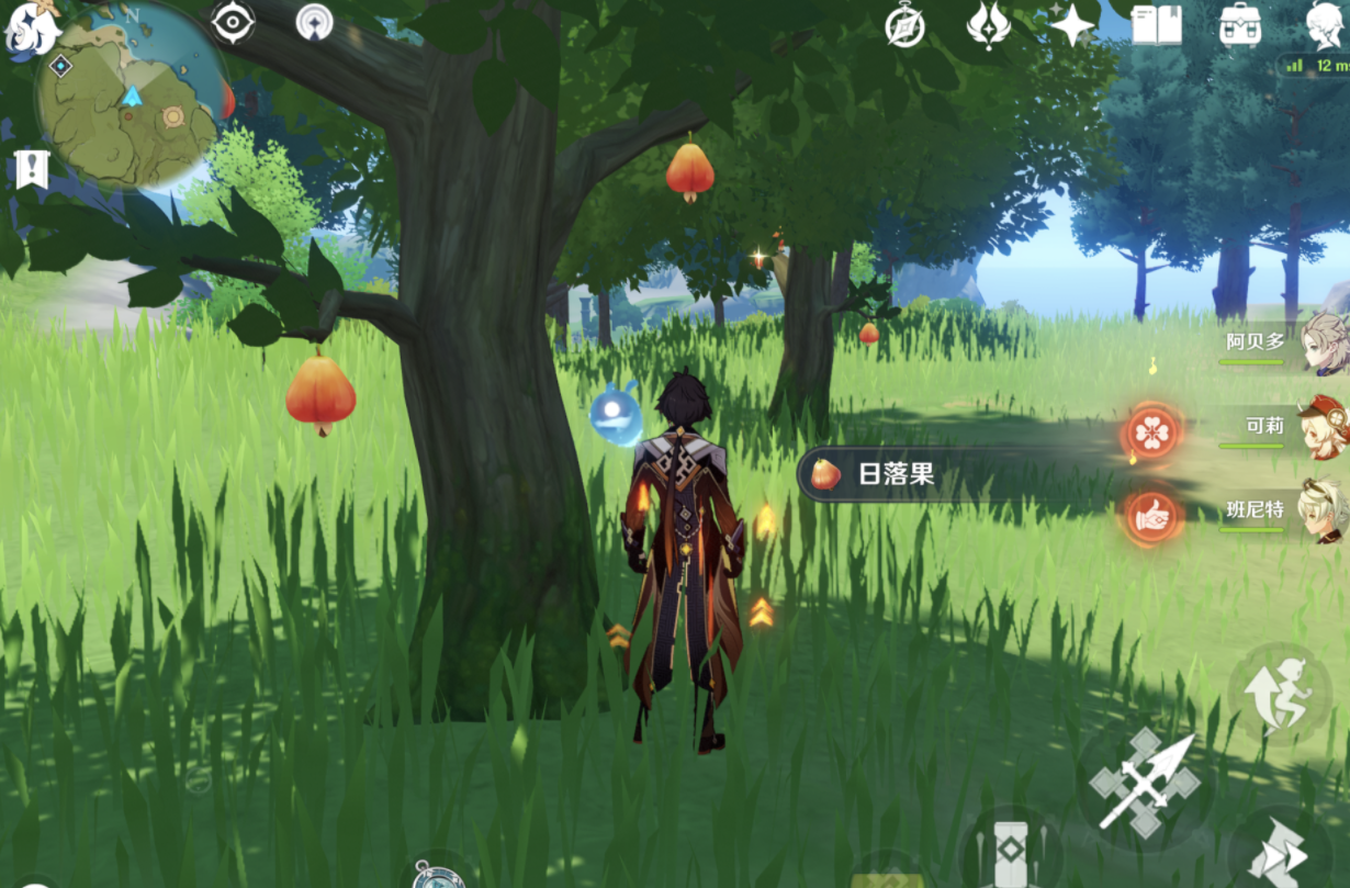 原神日落果哪里最多？2.3百货奇货日落果位置一览[多图]图片1