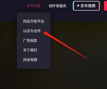 抖音音乐栏怎么设置