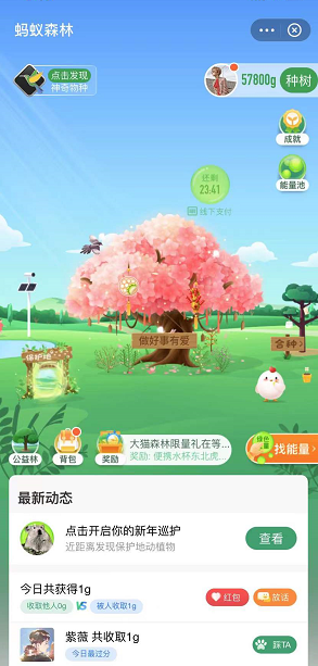 蚂蚁森林樟子松装扮怎么获得？