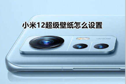 小米12超级壁纸在哪