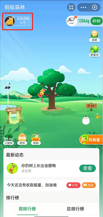 蚂蚁森林发现动物玩法介绍