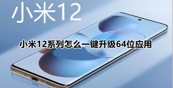 小米12系列怎么一键升级64位应用