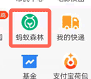 支付宝东宁保护地怎么领