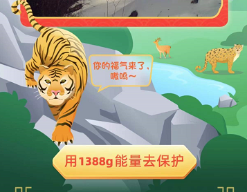 支付宝东宁保护地怎么领？